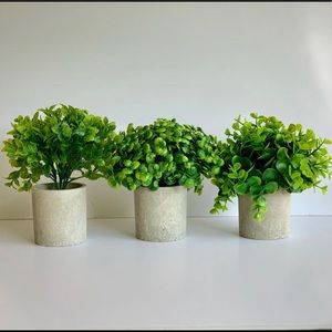 Small Fake Plants | Potted Succulents | Artificial Plants | Plants for Desk